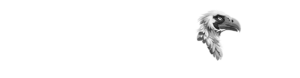 candor-fiction-logo-white